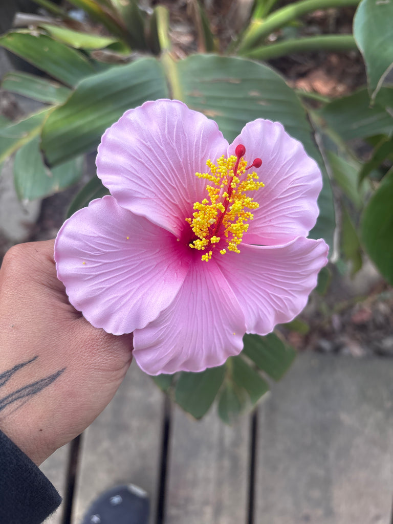 Foam Hibiscus 4.5” Hair Pick- Light Pink – California Hula Center