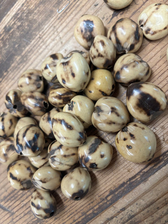 Loose Kukui Nuts- Marbled Tan/Brown