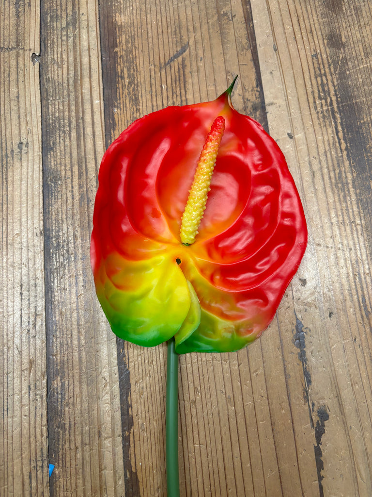 Giant Anthurium Real Touch Flower Stem- Red/Green/Yellow  California Hula  Center