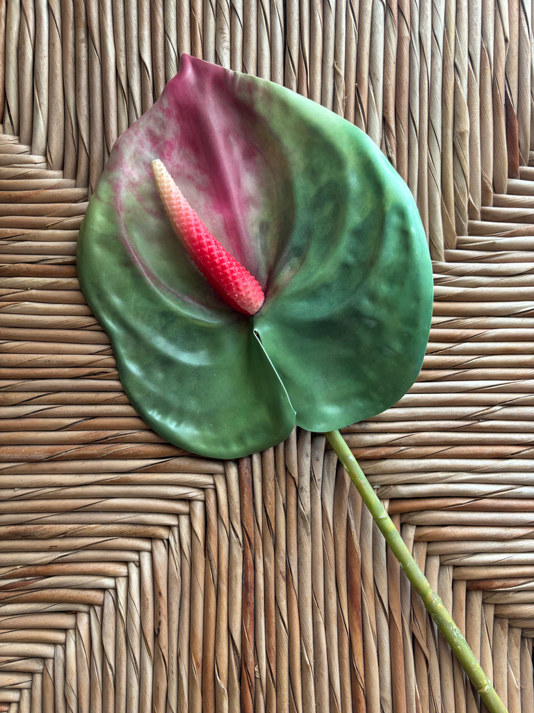 Anthurium Real Touch Flower Stem – California Hula Center
