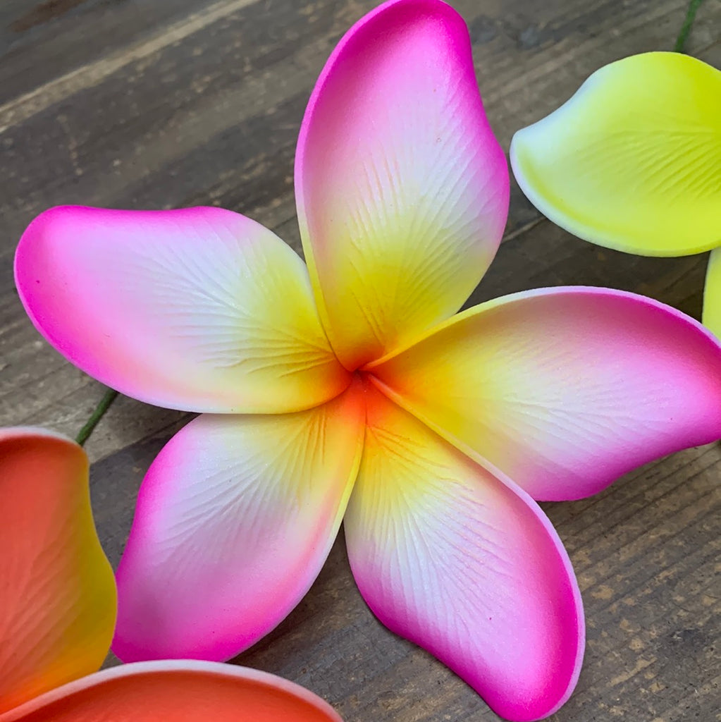 image_5cb27f93-819a-46e6-8b34-