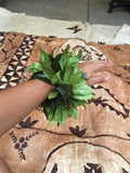 Maile Kupe'e (2)
