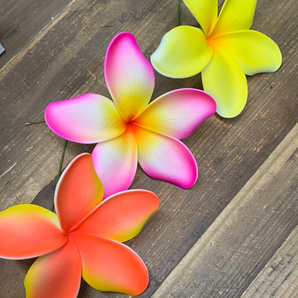 琉球*海花セール　カラフル エアファーン　0529-8 Big Foam Plumeria Hair Pick- Hot Orange – California Hula Center