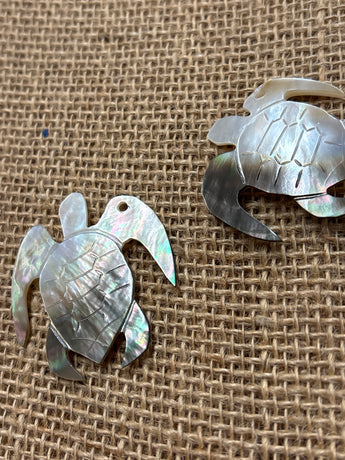 Mother of Pearl Black lip Regular Turtle shell