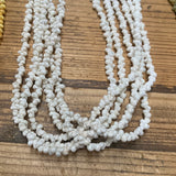 Lei- 6 Strand Mongo Shells with ribbon closure