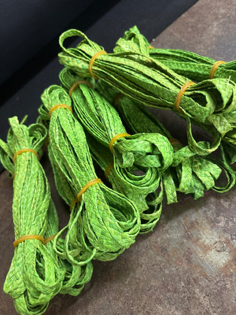 Woven Raffia Trim- Green