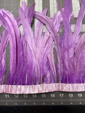 Rooster Tail Feathers 10-12” Spaced Apart - Lavender