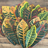 Artificial Croton Leaves