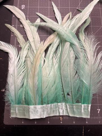 Rooster Tail Feathers 8-10” Spaced Apart - Mint