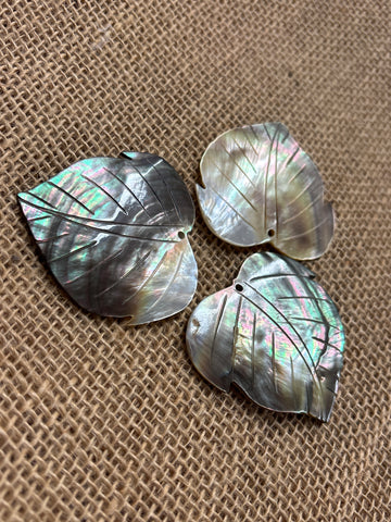Mother of Pearl Black lip Wide Leaf Shell (2nd style)