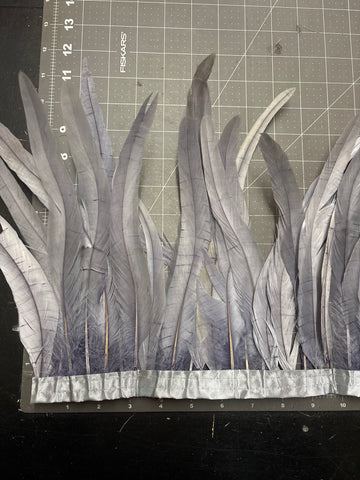 Rooster Tail Feathers 10-12” Spaced Apart - Gray
