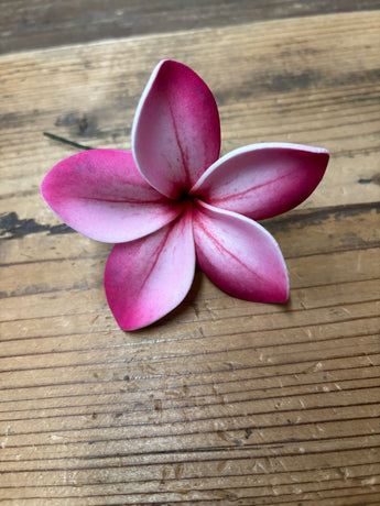 Foam Plumeria Hair Pick- Pink/White