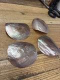 CLEARANCE- Mother of Pearl Round Shell Brown Lip (Pinkish) 2.75”