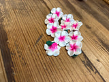 Foam PLUMERIA Side-drilled beads (10)