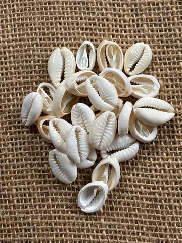 Cut Cowry Shells White 25 pack