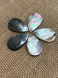 Mother of Pearl Blacklip Teardrop