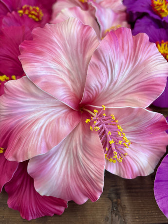 Giant Foam Hibiscus Hair Pick-  Pink/White