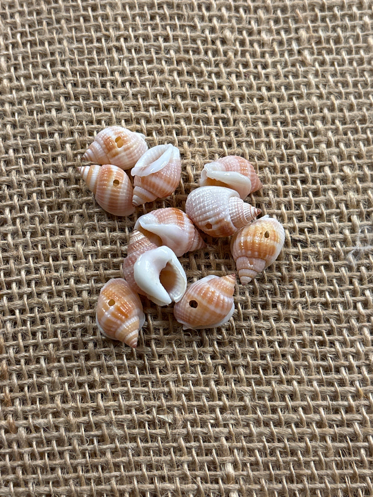 Frogshell Turbo Shells 10 pack – California Hula Center