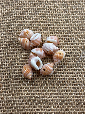 Frogshell Turbo Shells 10 pack
