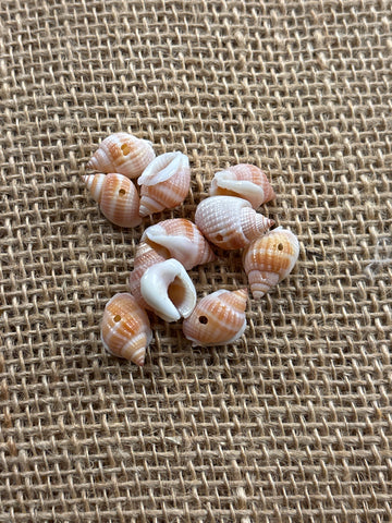 Frogshell Turbo Shells 10 pack