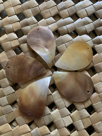 CLEARANCE Mother of Pearl Blacklip Teardrop Shells (5 PACK)