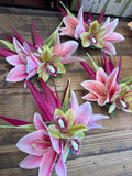 Bird of Paradise Pink Lily Orchid Flower Hair Clip