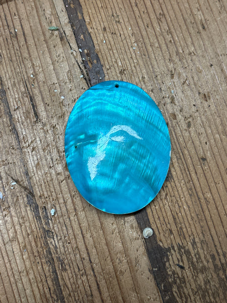 Turquoise Oval Shell