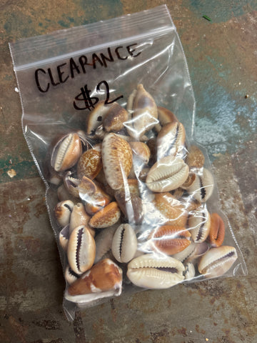 CLEARANCE- Random Small Seashells