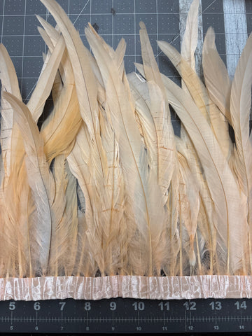 Rooster Tail Feathers 10-12” Spaced Apart - Peach