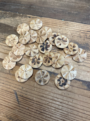 Coconut Flats (25)