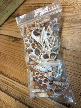 CLEARANCE- Bag of Broken Cut Shells
