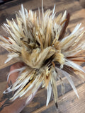Rooster Saddle Feathers- Natural Eggshell White