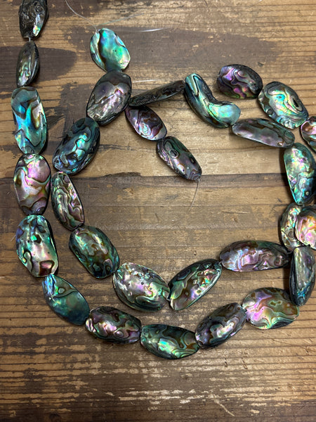 Abalone Paua Large Whole Shell Strand