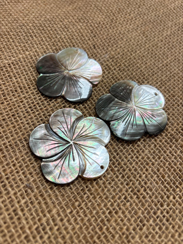 Black Lip Mother of Pearl Round Petal Plumeria Shell