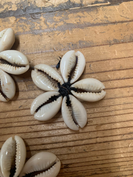 Cut Cowry Flower (10) Black String