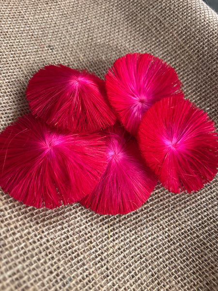 Hau Circle - Red
