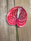 Anthurium Real Touch Flower Stem