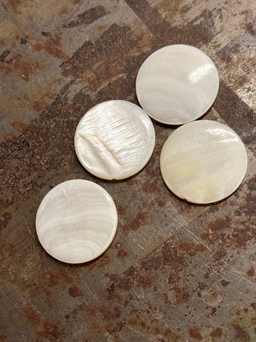CLEARANCE- White ROUND Kabibe Shell 1"