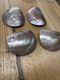 CLEARANCE- Mother of Pearl Round Shell Brown Lip (Pinkish) 2.75”