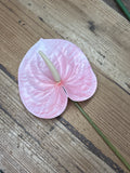 Anthurium Real Touch Flower Stem