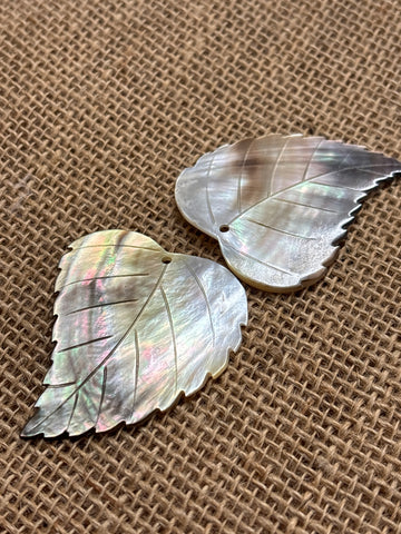 Mother of Pearl Blacklip Wide Leaf Shell