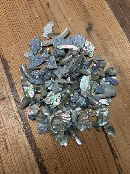 CLEARANCE Abalone Shell Pieces