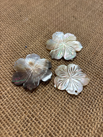 Mother of Pearl Blacklip Hibiscus Shell
