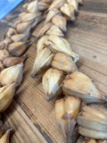 Samoan Ula Fala Natural Tan Lei