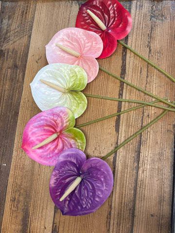 cut anthurium flowers Anthurium Real Touch Flower Stem – California Hula Center