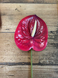 Anthurium Real Touch Flower Stem