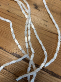 White FISH Kabibe Shell Strand