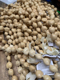 Kukui Nut Lei