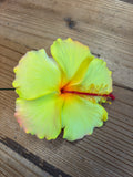 Foam Hibiscus 4” Hair Pick-Yellow