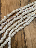 Shell Strand- Puka Shells